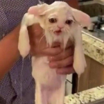 MentalErrxr's Avatar