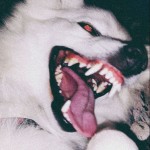 CryptikJester's Avatar