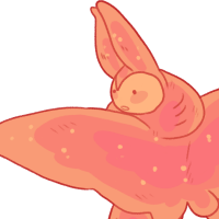 MANT-1299: Mantafin MYO